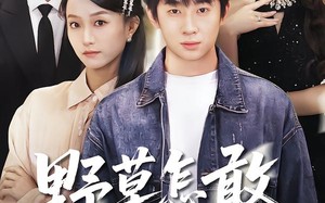 野草怎敢沐春风（61集）短剧夸克网盘免费全集速看