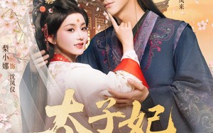 太子妃天亮了（80集）短剧夸克网盘全集免费在线看