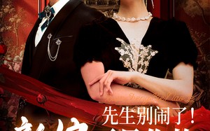 先生别闹了新娘不是你的（56集）短剧夸克网盘独家高清版在线观看