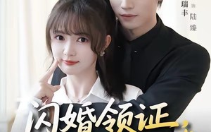 闪婚领证，陆先生的宠妻日常（86集）短剧夸克网盘全集在线看