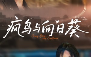 疯鸟与向日葵（40集）短剧夸克网盘高清画质畅快看