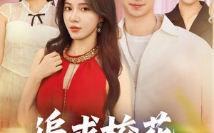 追求校花只需做十个选择（79集）短剧夸克网盘高清流畅在线看