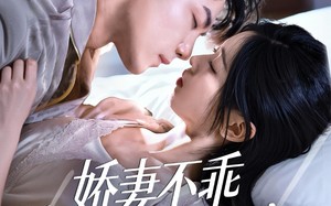 娇妻不乖贺先生纵容到底（50集）短剧夸克网盘免费全集观看