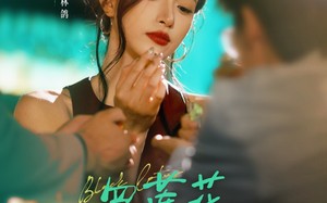 黑莲花她不装了（77集）短剧夸克网盘全集免费在线观看