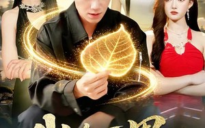 我在天界收废品（90集）短剧夸克网盘高清视频免费看