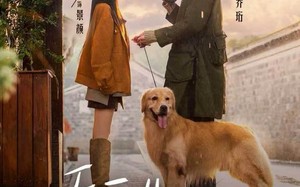 乔医生，我想帮你收租（81集）短剧夸克网盘超清无删减看