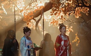 青鸟衔恨生（61集）短剧夸克网盘高清完整版不容错过