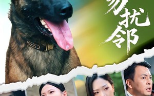 养狗勿扰邻（31集）短剧夸克网盘免费在线看大剧