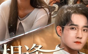 相逢却不识（77集）短剧夸克网盘高清视频免费看