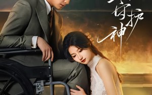 轮椅上的守护神（25集）短剧夸克网盘视频免费看全集