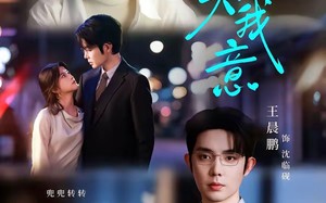 泠风知我意（80集）短剧夸克网盘完整剧情免费看