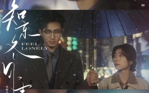 知京冬风雪（68集）短剧夸克网盘全集畅享观看