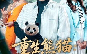 重生熊猫：开局太极拳震惊全球（70集）短剧夸克网盘高清全集畅看