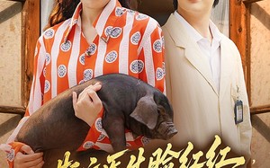 斯文医生脸红红追着老婆哄（94集）短剧夸克网盘夫妻趣事全集免费赏
