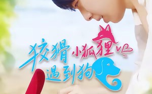 狡猾小狐狸遇到狗（80集）短剧夸克网盘免费观看全集