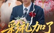 彩礼加了8万8（54集）短剧夸克网盘免费观看大结局