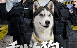 重生为狗屡破大案震惊全网（80集）短剧夸克网盘在线看全集