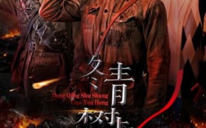 冬青树上果犹红（9集）短剧夸克网盘快速缓冲流畅看