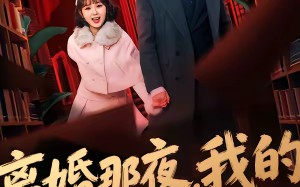 “离婚那夜，我的身份藏不住了（66集）短剧夸克网盘在线免费看大结局