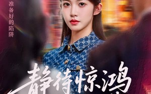 静待惊鸿入翁慌（40集）短剧夸克网盘广告免费纯净观看