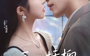 无心插柳爱成荫（80集）短剧夸克网盘每日更新追不停