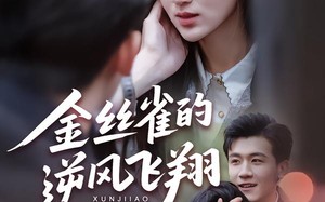 金丝雀的逆风飞翔（80集）短剧夸克网盘高清视频在线看