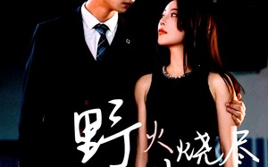 野火烧尽芳草时（65集）短剧夸克网盘高清完整版畅享不停
