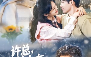 许总，前女友喊你别追了（80集）短剧夸克网盘全集高清免费看