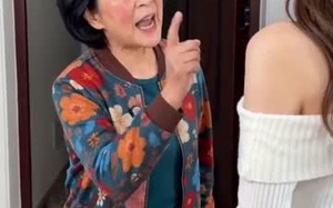 枫叶落新生起（49集）短剧夸克网盘免费看全集