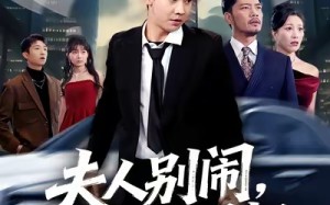 夫人别闹我只做司机（80集）短剧夸克网盘高清在线看全集