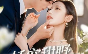 娇宠甜野小孕妻（82集）短剧夸克网盘高清全集免费速看