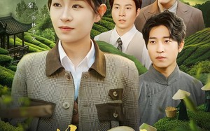 茶骨红颜（92集）短剧夸克网盘随时随地随心看