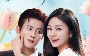 婚情已久（80集）短剧夸克网盘完整版免费畅看