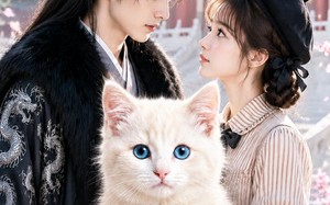 团宠猫主子，全锦衣卫偷听我心声（60集）短剧夸克网盘高清全集在线看