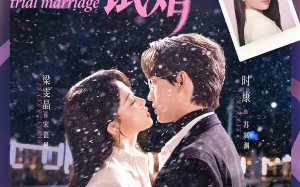 非正常试婚（77集）短剧夸克网盘高清在线看