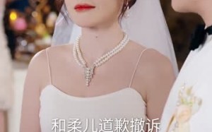 女兄弟是学人精，她直接叫停婚礼（55集）短剧夸克网盘高清视频免费看