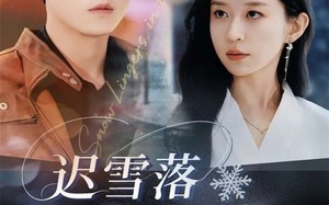 迟雪落不进掌心（79集）短剧夸克网盘超清画质畅快看