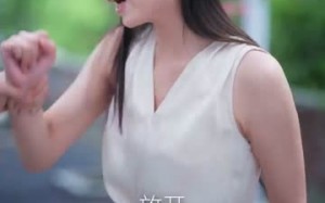 南风过境时爱意尽失（60集）短剧夸克网盘全集高清在线看