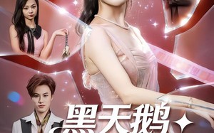 黑天鹅诱捕计划（81集）短剧夸克网盘免费视频看个够