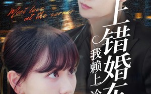 上错婚车后我赖上冷酷谭爷（59集）短剧夸克网盘在线看超爽