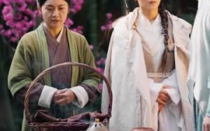 棠梨映雪迟（61集）短剧夸克网盘精彩剧情抢先看