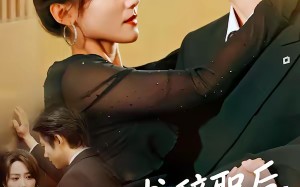 阮秘书辞职后，陆总他急疯了（80集）短剧夸克网盘全集高清观看