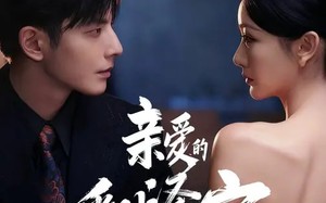 亲爱的翻译官（60集）短剧夸克网盘高清视频免费看