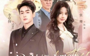 妯娌齐跑路傲娇兄弟急疯了（70集）短剧夸克网盘免费看全集