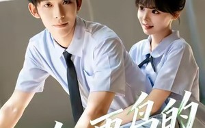 知更鸟的陷阱（58集）短剧夸克网盘精彩剧情抢先看