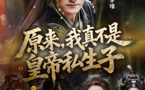 原来，我真不是皇帝私生子（88集）短剧夸克网盘在线尽情看