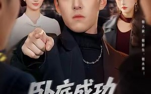 卧底成功老大可是我的人（99集）短剧夸克网盘高清在线免费看