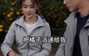 四块一斤轰走，寒潮后全村哭求（62集）短剧夸克网盘高清在线看