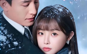 撕婚（23集）短剧夸克网盘免费视频看全集