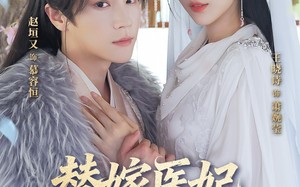 替嫁医妃惊鸿无双（64集）短剧夸克网盘完整视频在线览